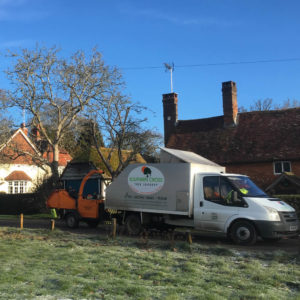 Deadwooding-Surrey-West-Sussex-Tree-Surgeon