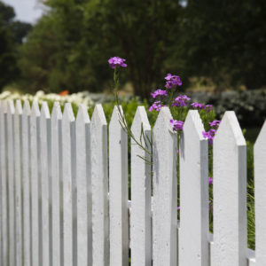 Fencing-Surrey-West-Sussex-Tree-Surgeon-2