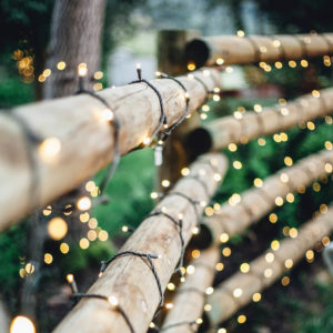 Fencing-Surrey-West-Sussex-Tree-Surgeon