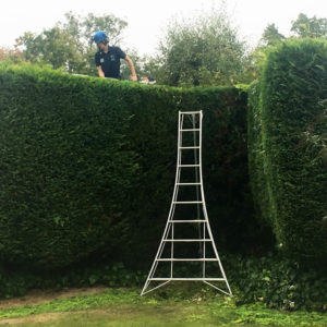 Hedge-Reduction-Surrey-West-Sussex-Tree-Surgeon